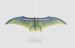 Pteranodon green